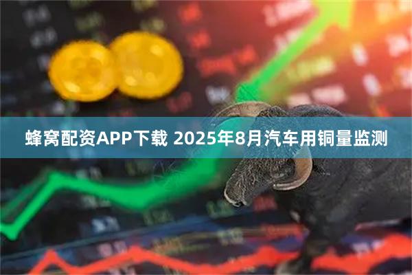 蜂窝配资APP下载 2025年8月汽车用铜量监测