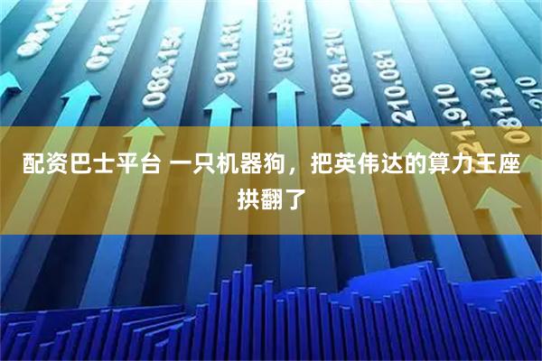 配资巴士平台 一只机器狗，把英伟达的算力王座拱翻了